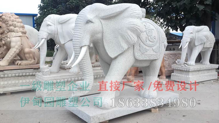 大象1.jpg 大象1.jpg